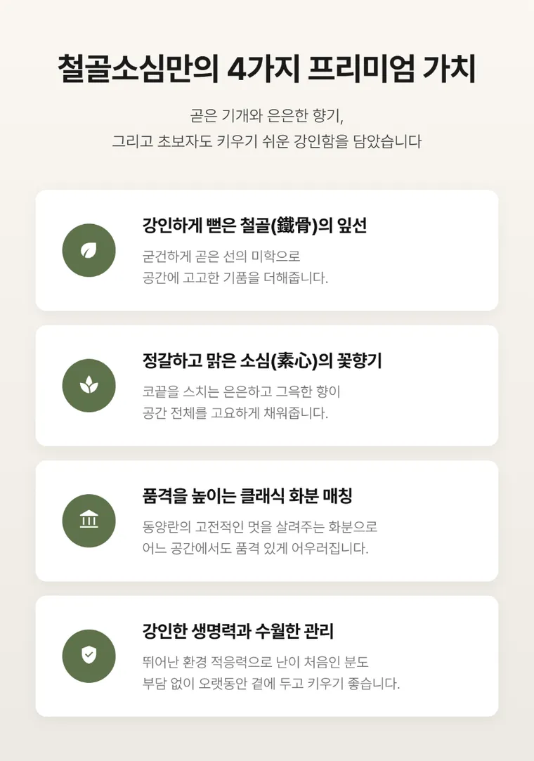 철골소심(일반분) — 상품 상세
