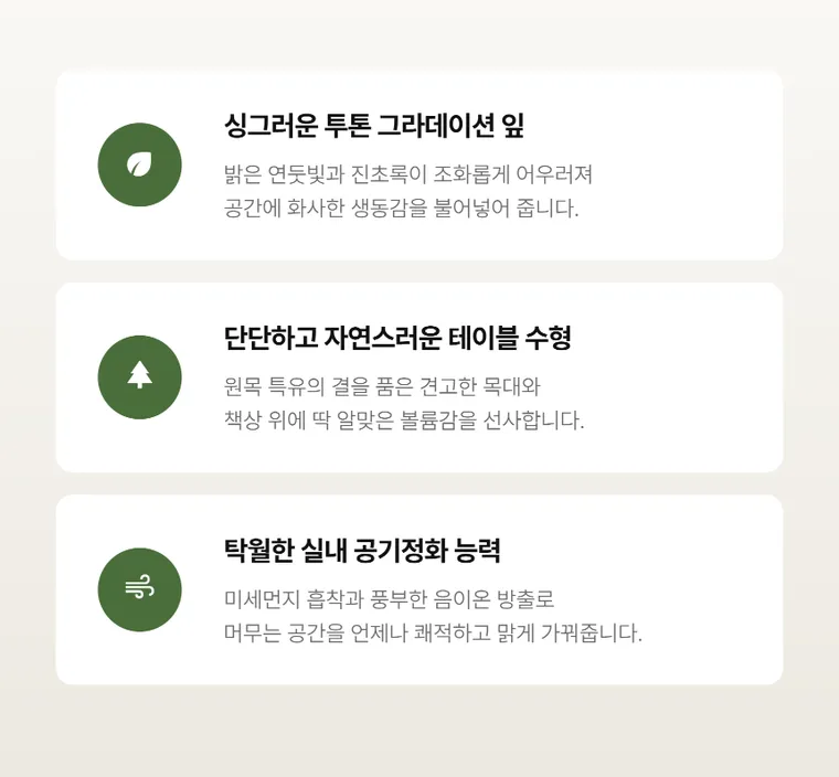 뱅갈고무나무 T — 상품 상세