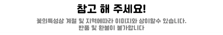 너를 담아 봄 — 상품 상세