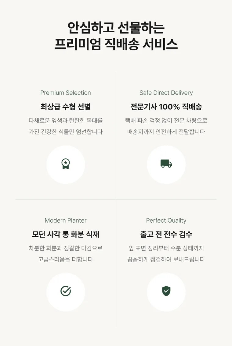 크로톤 A — 상품 상세