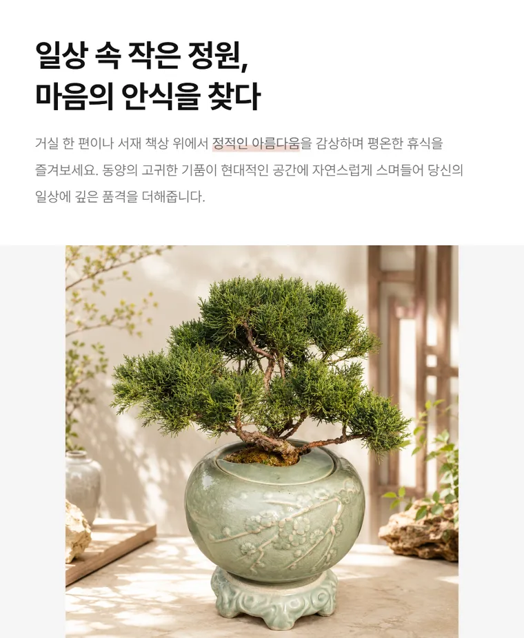 Bonsai bách xù B — Hình chi tiết