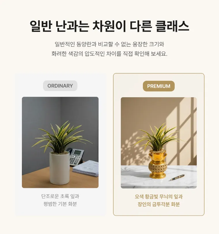 황금일향(금투각분) — 상품 상세