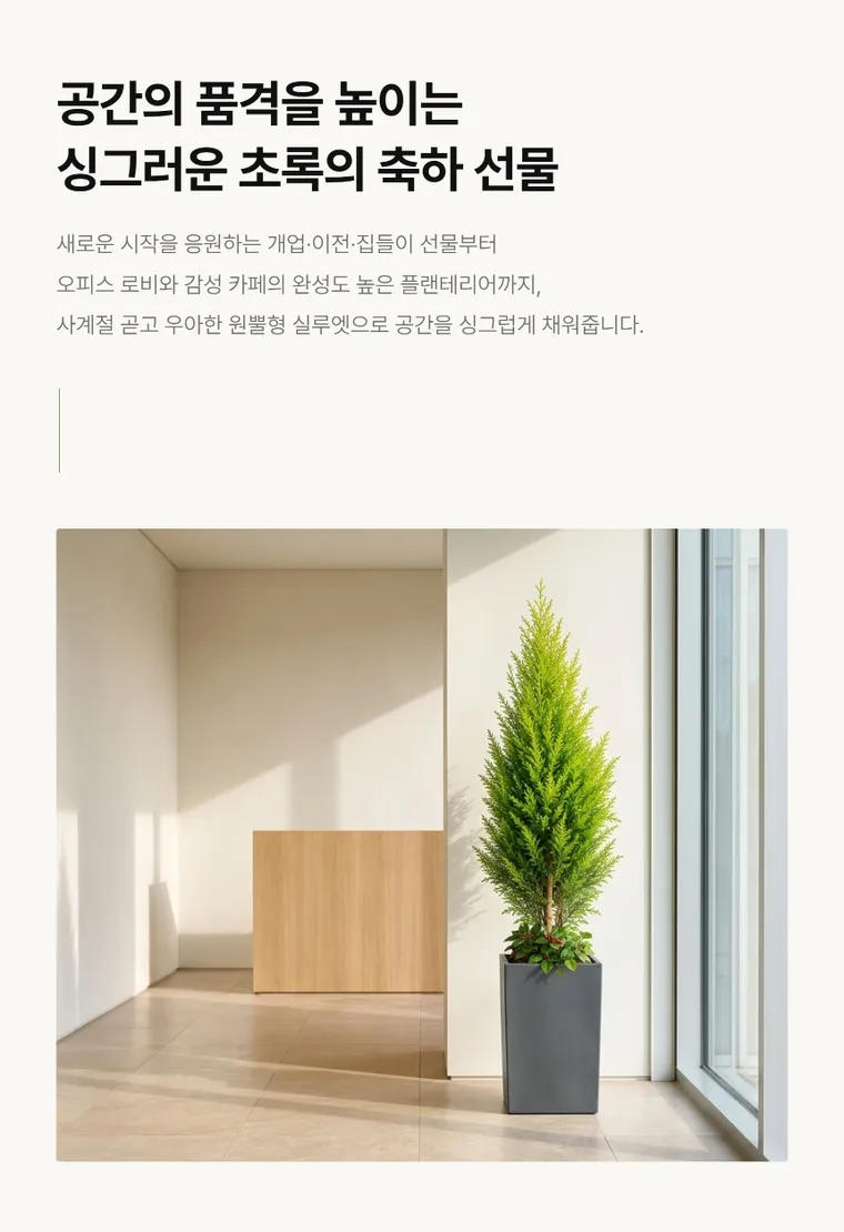 율마 — 상품 상세