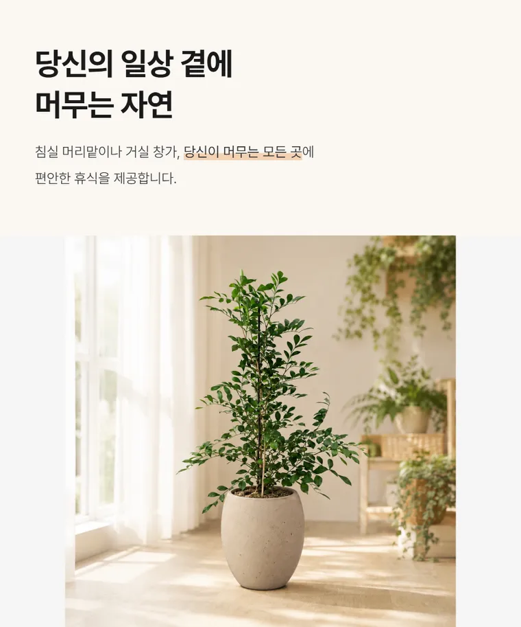 오렌지 자스민 — 상품 상세
