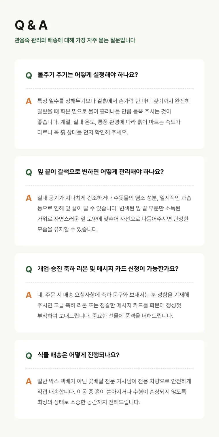 관음죽 — 상품 상세