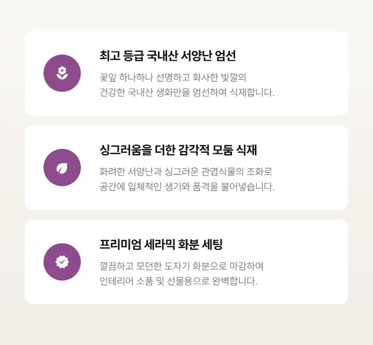 라벤더 볼 — 상품 상세