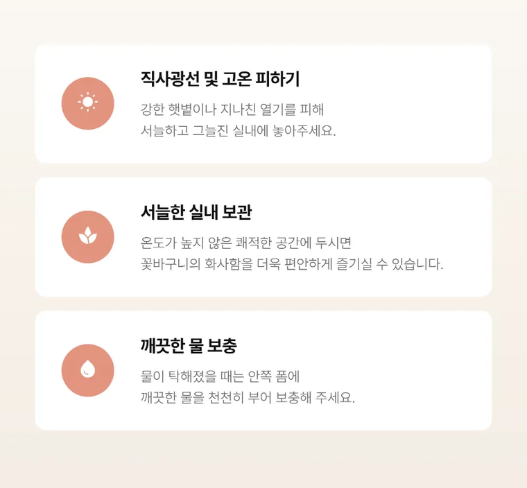 소프트블룸 — 상품 상세