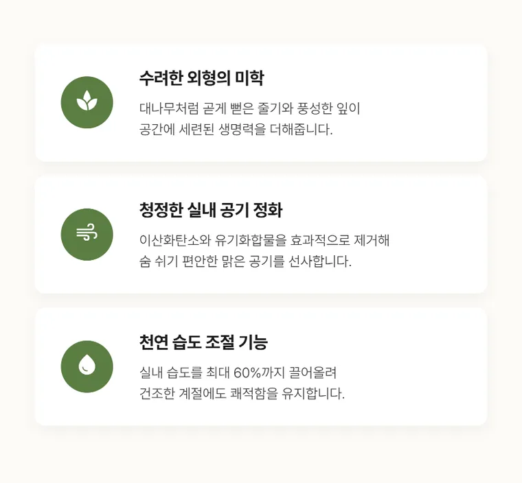 황금죽 A — 상품 상세