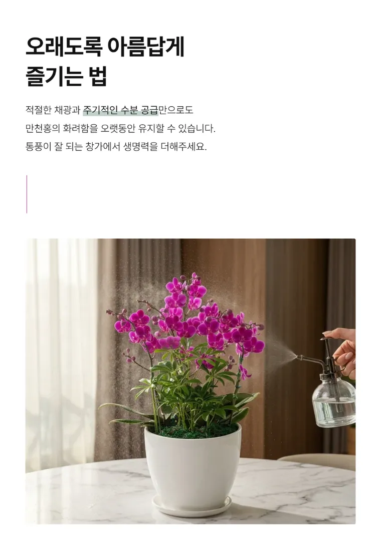 Mancheonhong C — Detail images