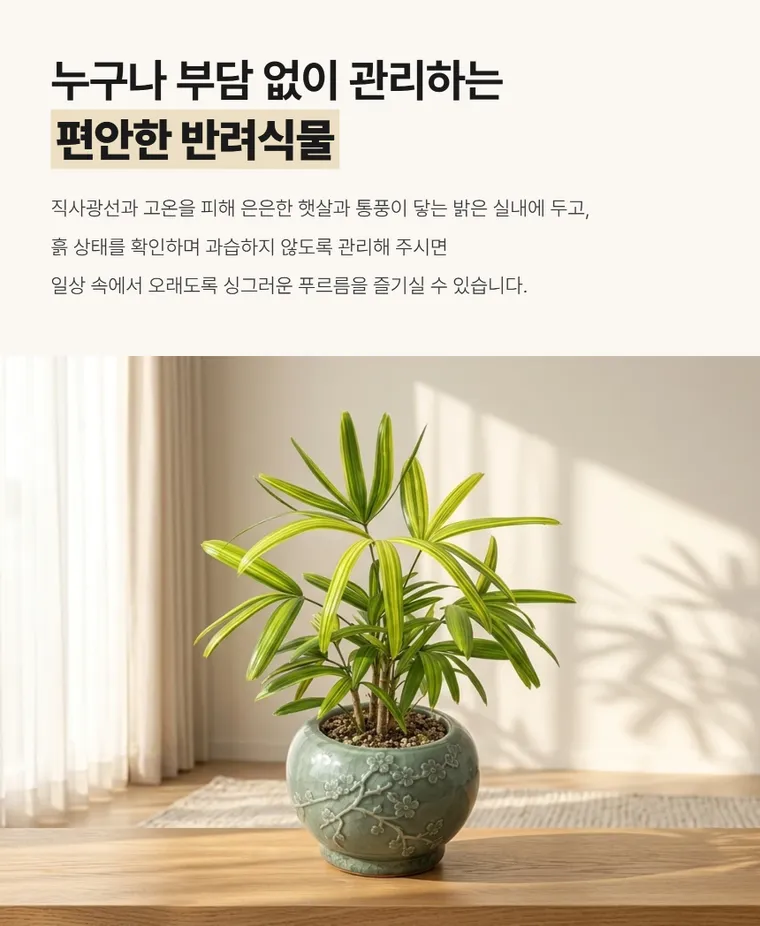 Trúc mây sọc vàng — Hình chi tiết