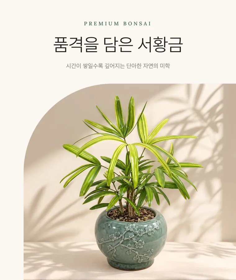 Trúc mây sọc vàng — Hình chi tiết