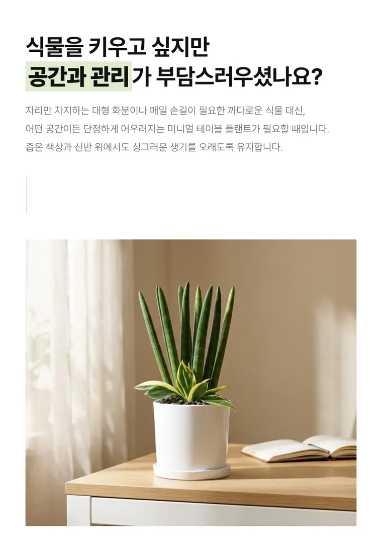 Cylindrical Snake Plant T — Detail images