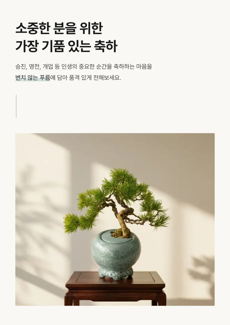 黑松盆景 A — 详情图