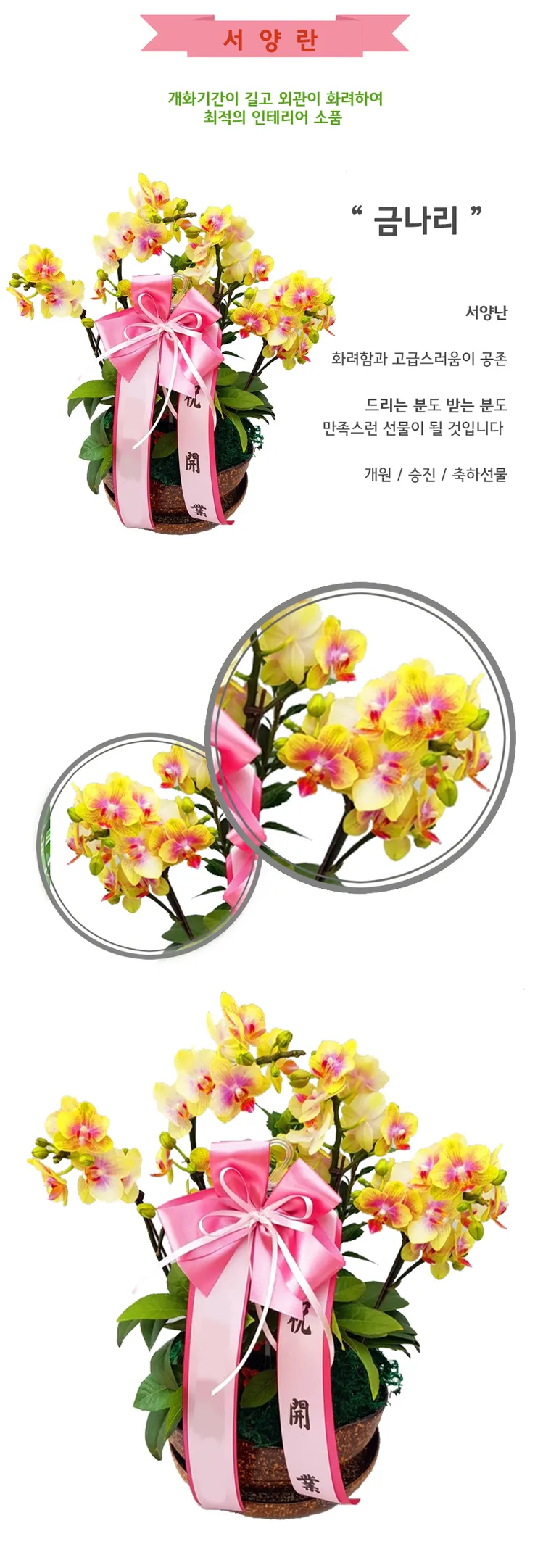 Golden Lily — Detail images