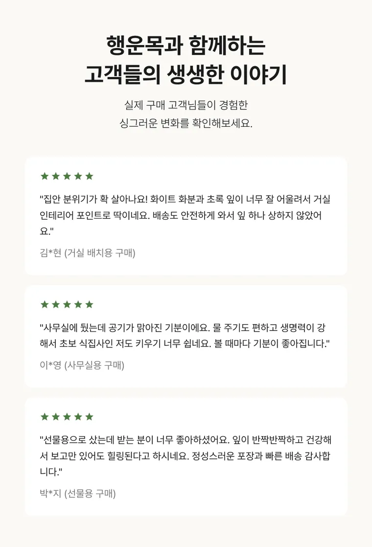 巴西木 A — 详情图
