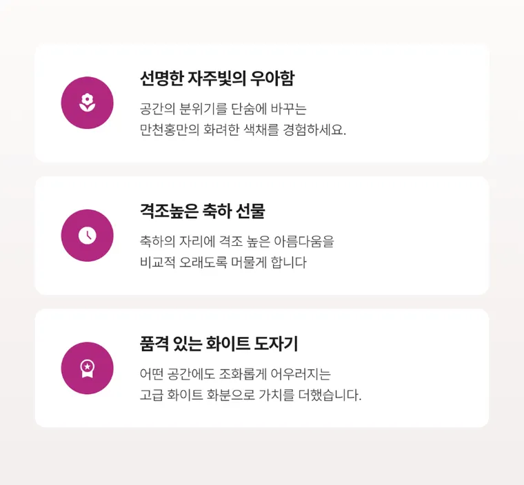 만천홍 B — 상품 상세
