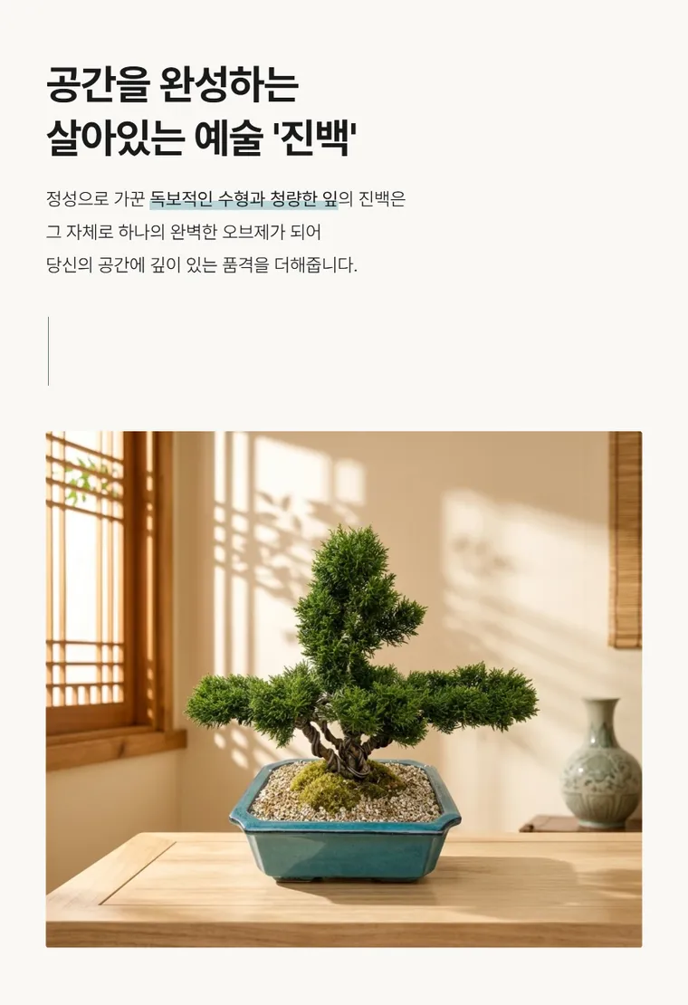 Bonsai bách xù A — Hình chi tiết