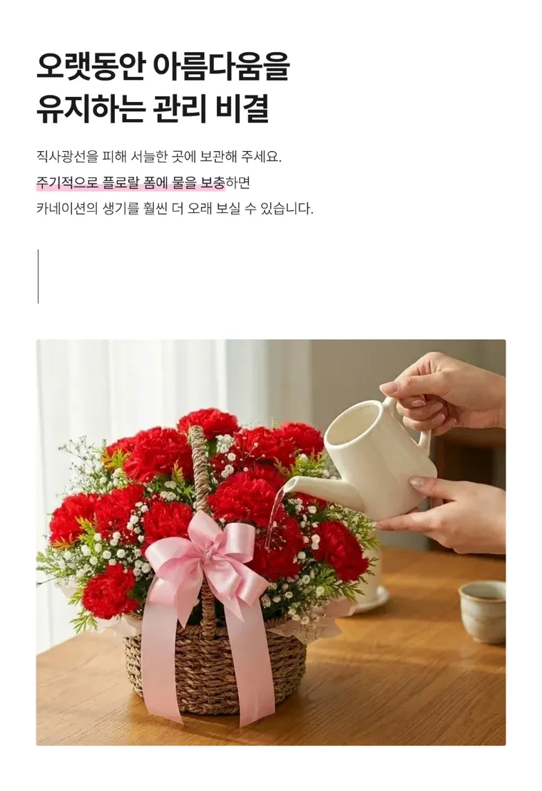 카네이션 A — 상품 상세