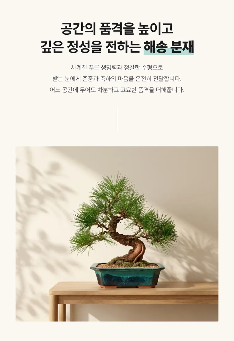 해송 C — 상품 상세