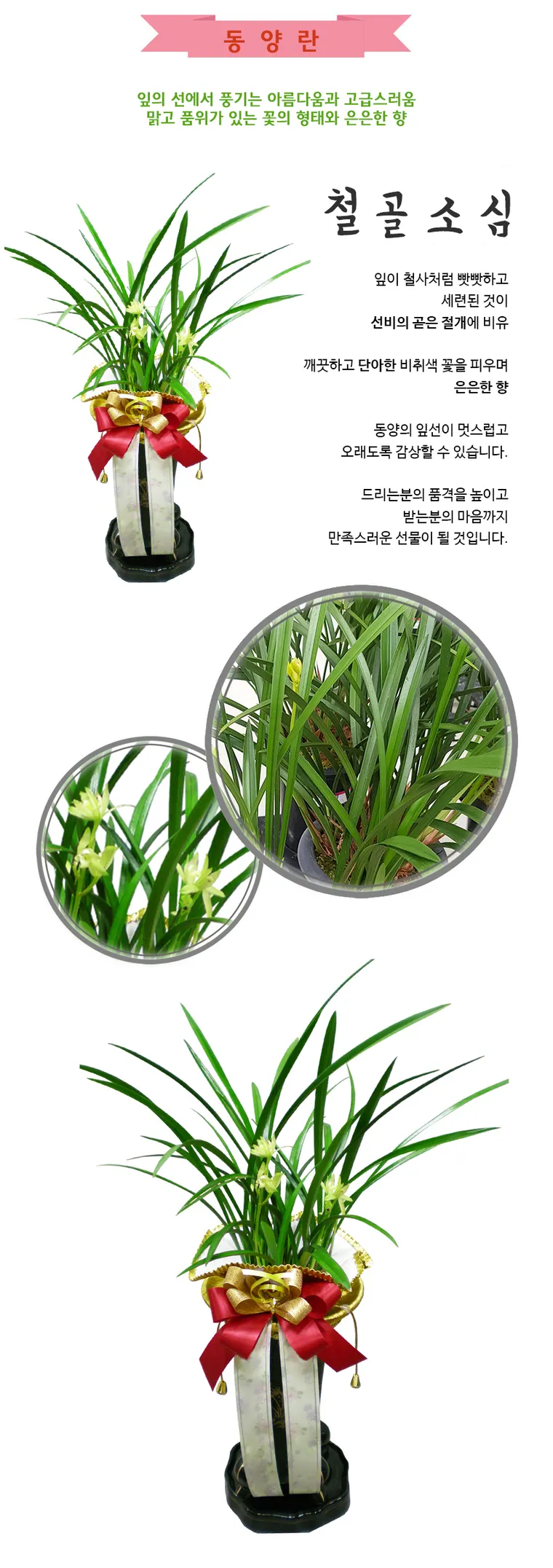 철골소심 — 상품 상세