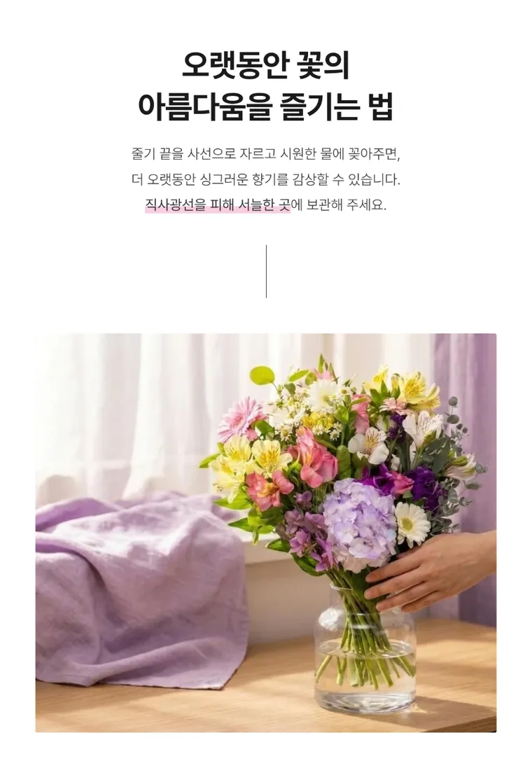 라벤더 블룸 — 상품 상세
