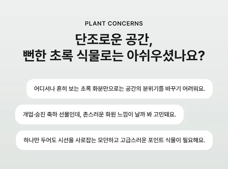 크로톤 A — 상품 상세