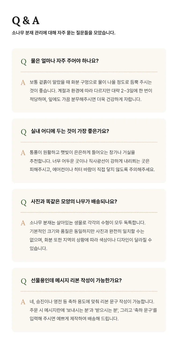 소나무분재 B — 상품 상세