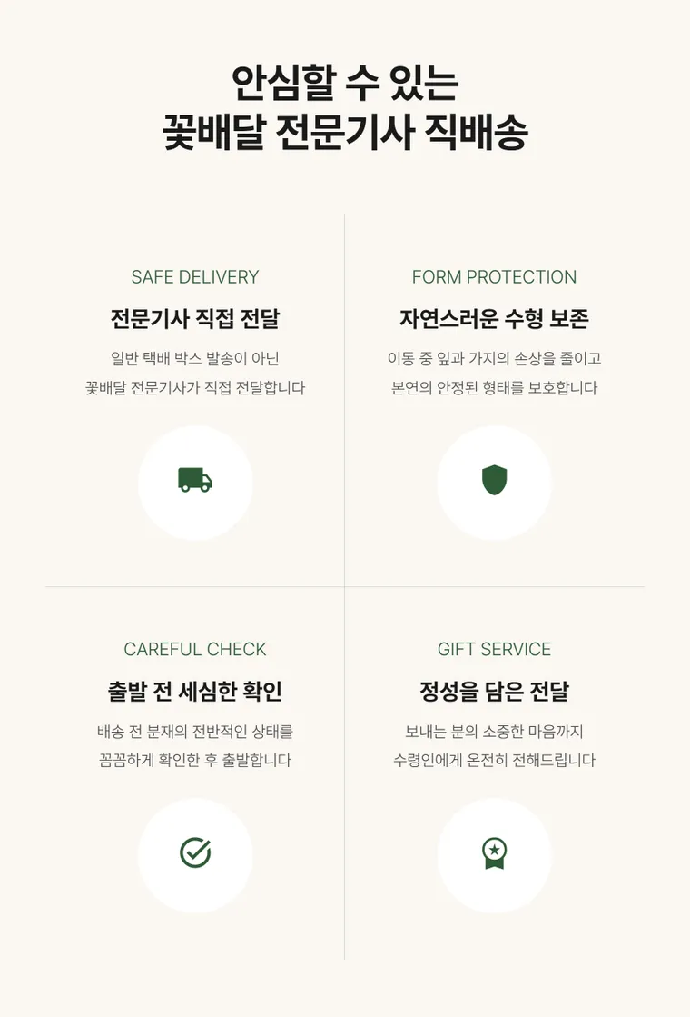 해송 C — 상품 상세