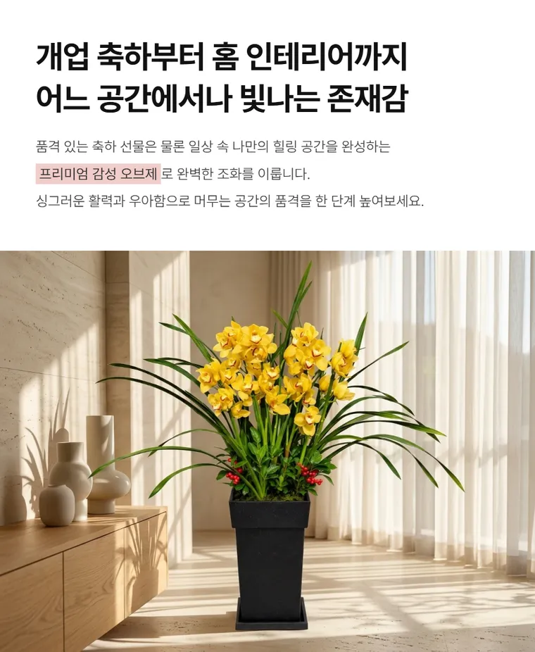 Lan Cymbidium — Hình chi tiết