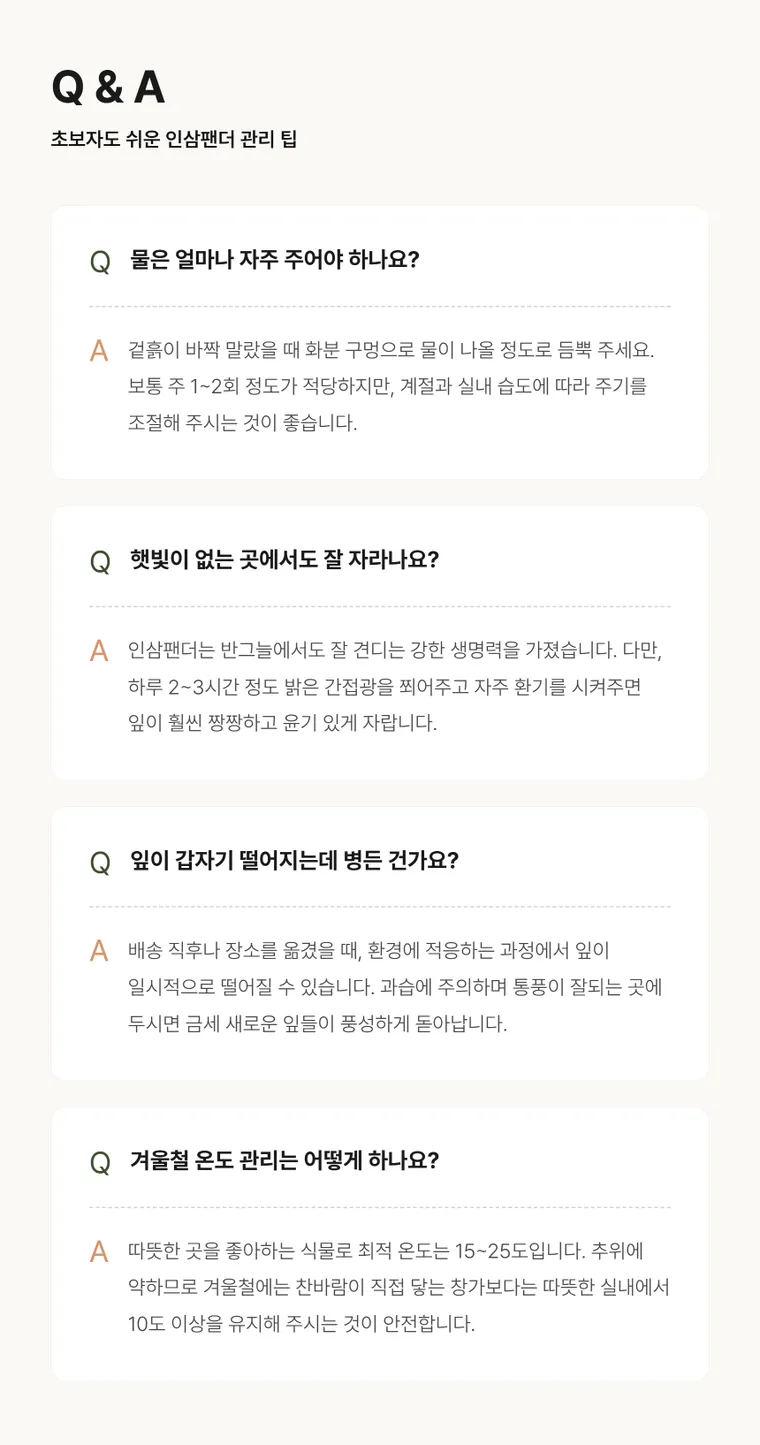인삼팬더 — 상품 상세