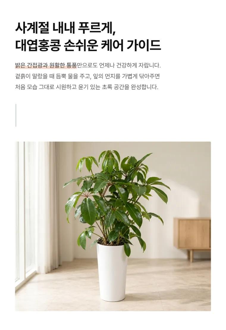 Umbrella Tree — Detail images