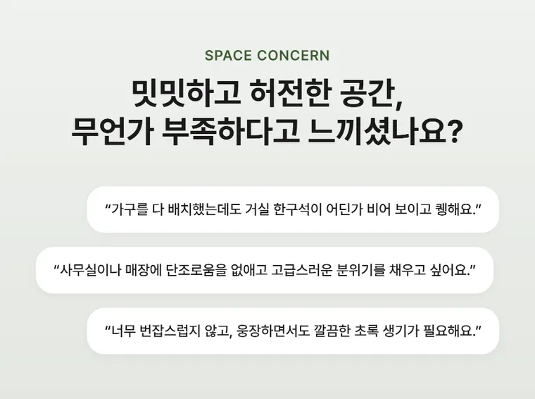 떡갈고무나무 A — 상품 상세