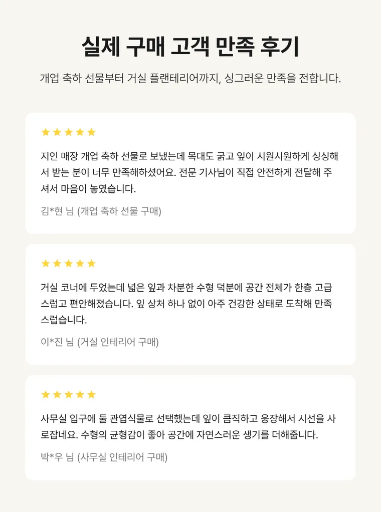 떡갈고무나무 A — 상품 상세