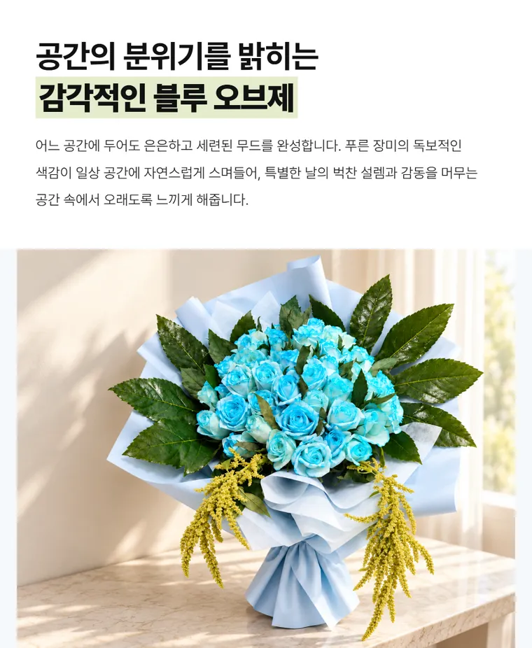 블루 선라이트 — 상품 상세