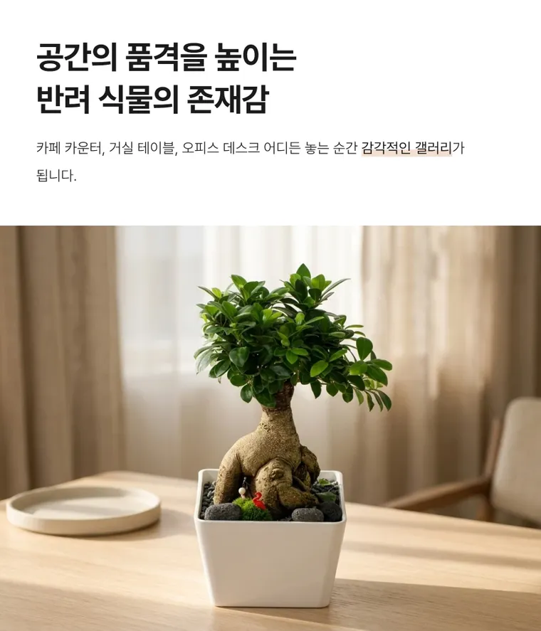 인삼팬더 — 상품 상세