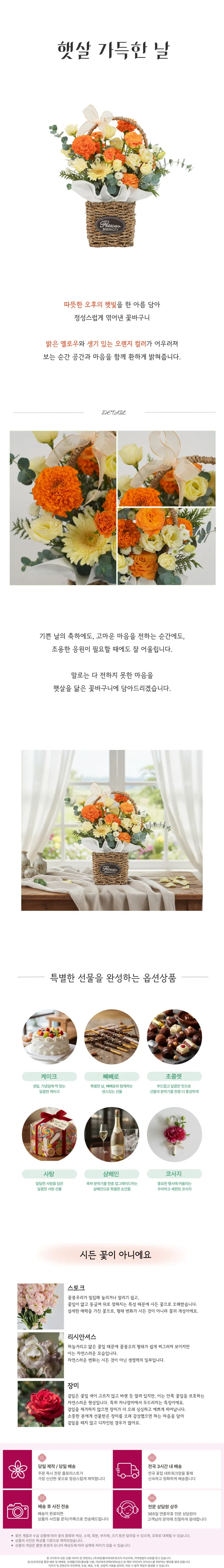Ngày tràn đầy ánh nắng — Hình chi tiết