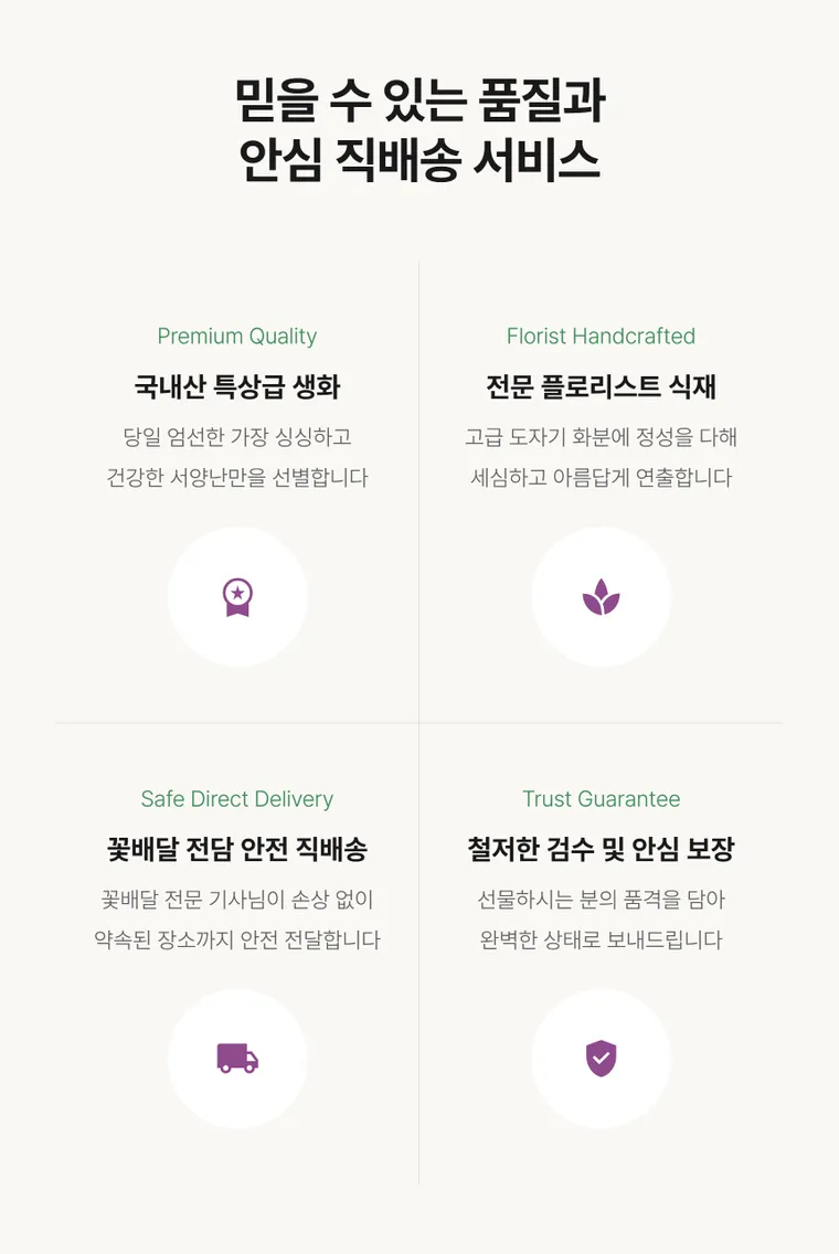 라벤더 볼 — 상품 상세