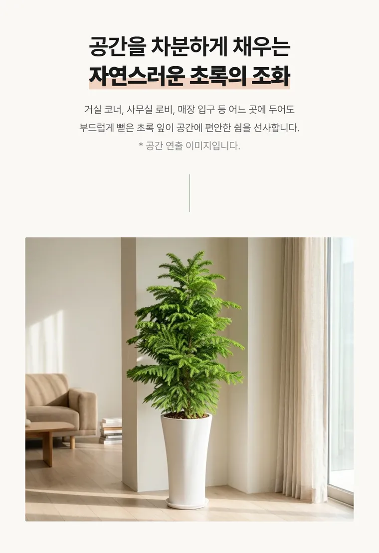 Cây tùng bách tán A — Hình chi tiết