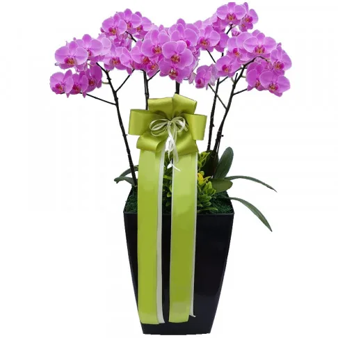 For Parents flowers